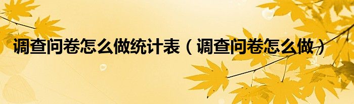 调查问卷怎么做统计表（调查问卷怎么做）