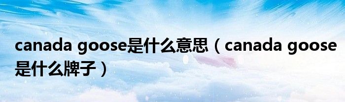 canada goose是什么意思（canada goose是什么牌子）