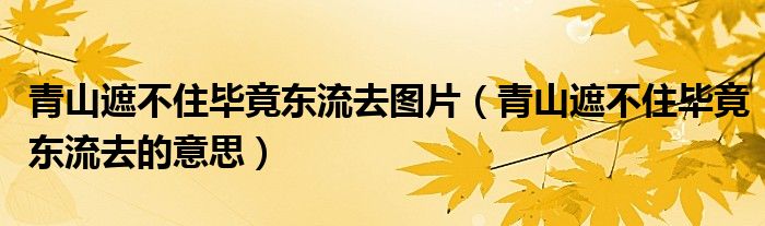青山遮不住毕竟东流去图片（青山遮不住毕竟东流去的意思）