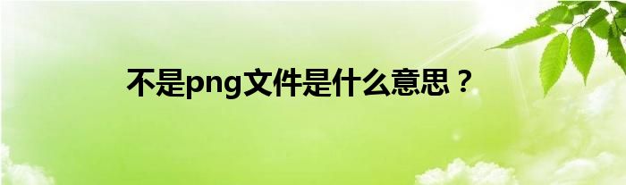 不是png文件是什么意思？