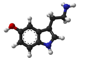 对抑郁症血清素缺乏概念的新支持