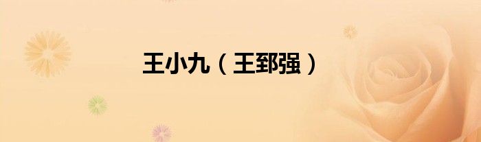 王小九（王郅强）