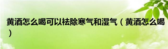 黄酒怎么喝可以祛除寒气和湿气（黄酒怎么喝）