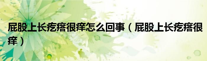 屁股上长疙瘩很痒怎么回事（屁股上长疙瘩很痒）