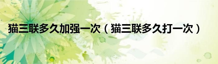 猫三联多久加强一次（猫三联多久打一次）