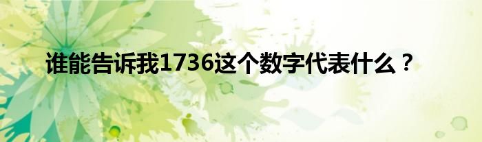 谁能告诉我1736这个数字代表什么？