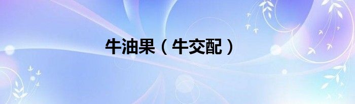 牛油果（牛交配）