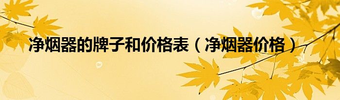 净烟器的牌子和价格表（净烟器价格）