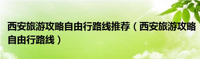 西安旅游攻略自由行路线推荐（西安旅游攻略自由行路线）
