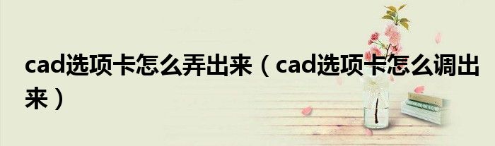 cad选项卡怎么弄出来（cad选项卡怎么调出来）