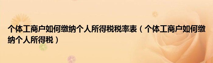 个体工商户如何缴纳个人所得税税率表（个体工商户如何缴纳个人所得税）