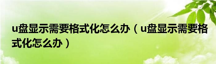 u盘显示需要格式化怎么办（u盘显示需要格式化怎么办）