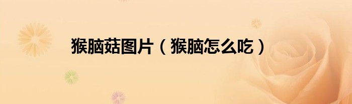 猴脑菇图片（猴脑怎么吃）