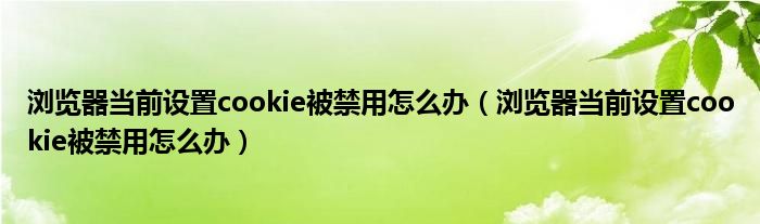 浏览器当前设置cookie被禁用怎么办（浏览器当前设置cookie被禁用怎么办）