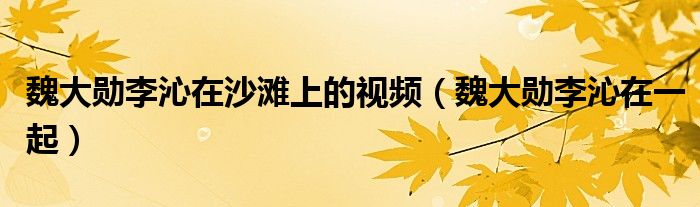 魏大勋李沁在沙滩上的视频（魏大勋李沁在一起）