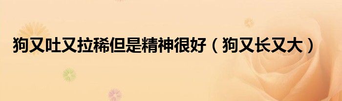 狗又吐又拉稀但是精神很好（狗又长又大）