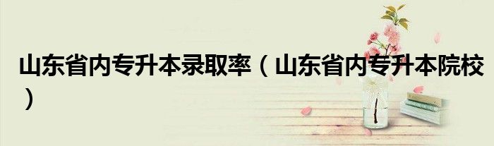 山东省内专升本录取率（山东省内专升本院校）