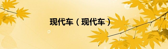 现代车（现代车）