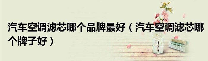汽车空调滤芯哪个品牌最好（汽车空调滤芯哪个牌子好）