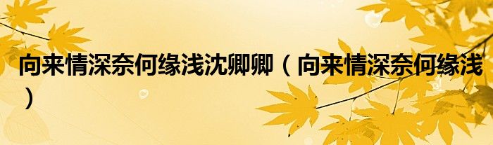 向来情深奈何缘浅沈卿卿（向来情深奈何缘浅）