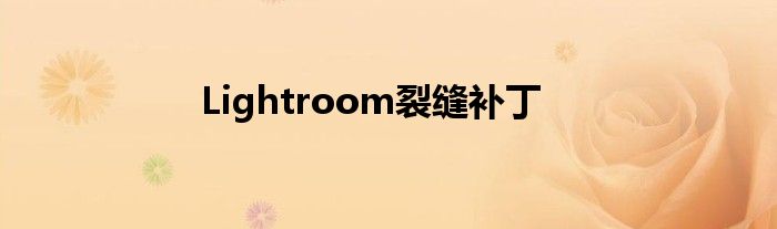 Lightroom裂缝补丁