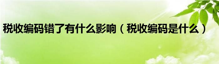 税收编码错了有什么影响（税收编码是什么）