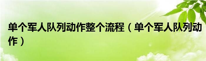 单个军人队列动作整个流程（单个军人队列动作）