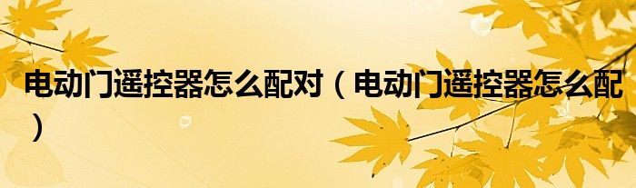 电动门遥控器怎么配对（电动门遥控器怎么配）