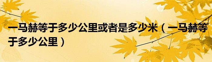 一马赫等于多少公里或者是多少米（一马赫等于多少公里）
