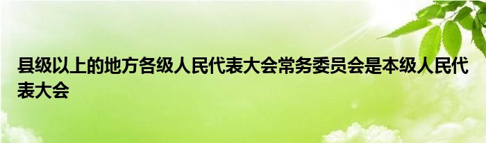 县级以上的地方各级人民代表大会常务委员会是本级人民代表大会