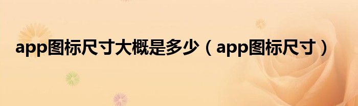 app图标尺寸大概是多少（app图标尺寸）