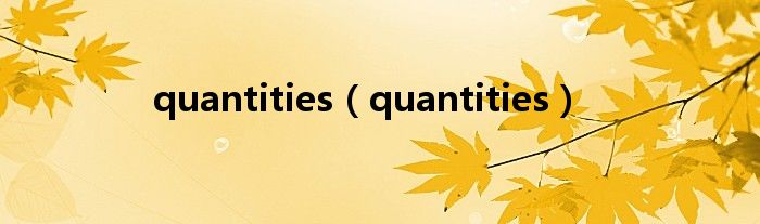 quantities（quantities）