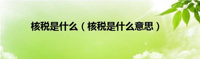 核税是什么（核税是什么意思）