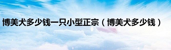 博美犬多少钱一只小型正宗（博美犬多少钱）