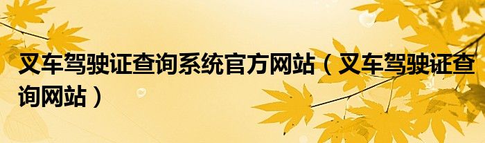 叉车驾驶证查询系统官方网站（叉车驾驶证查询网站）