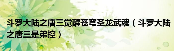 斗罗大陆之唐三觉醒苍穹圣龙武魂（斗罗大陆之唐三是弟控）