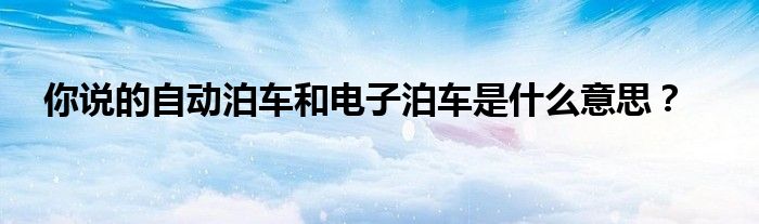 你说的自动泊车和电子泊车是什么意思？