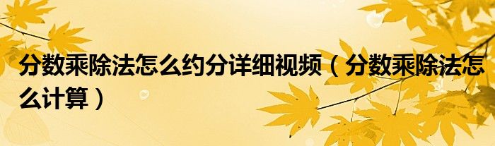 分数乘除法怎么约分详细视频（分数乘除法怎么计算）
