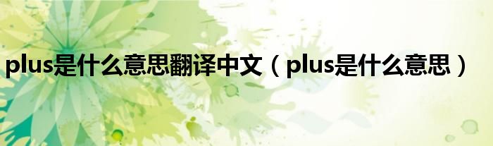 plus是什么意思翻译中文（plus是什么意思）