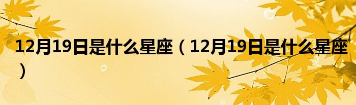 12月19日是什么星座（12月19日是什么星座）