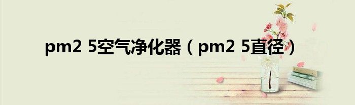 pm2 5空气净化器（pm2 5直径）