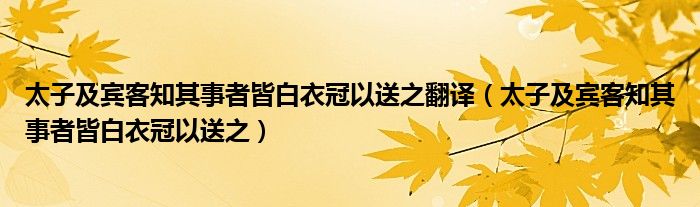 太子及宾客知其事者皆白衣冠以送之翻译（太子及宾客知其事者皆白衣冠以送之）