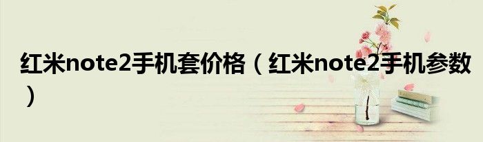 红米note2手机套价格（红米note2手机参数）