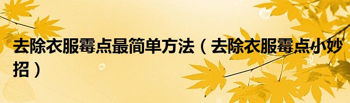 去除衣服霉点最简单方法（去除衣服霉点小妙招）