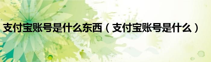 支付宝账号是什么东西（支付宝账号是什么）