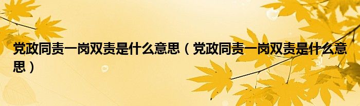 党政同责一岗双责是什么意思（党政同责一岗双责是什么意思）