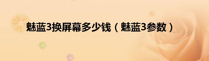 魅蓝3换屏幕多少钱（魅蓝3参数）