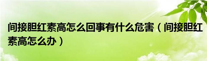 间接胆红素高怎么回事有什么危害（间接胆红素高怎么办）