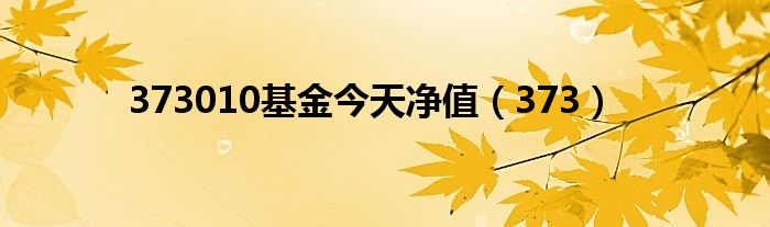 373010基金今天净值（373）