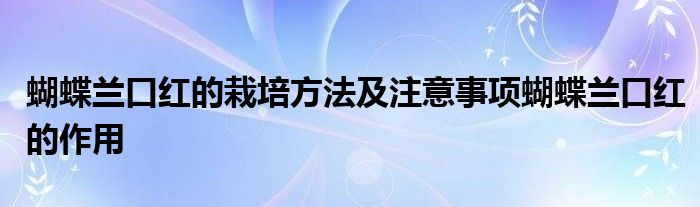 蝴蝶兰口红的栽培方法及注意事项蝴蝶兰口红的作用